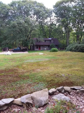 a view of a backyard with plants and outdoor space
