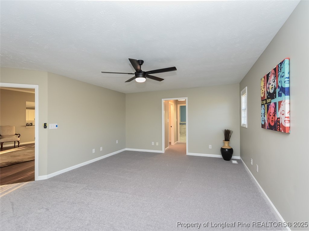 940 South River Road Autryville, NC 28318 - Photo 16 of 41 Gallery Image 16