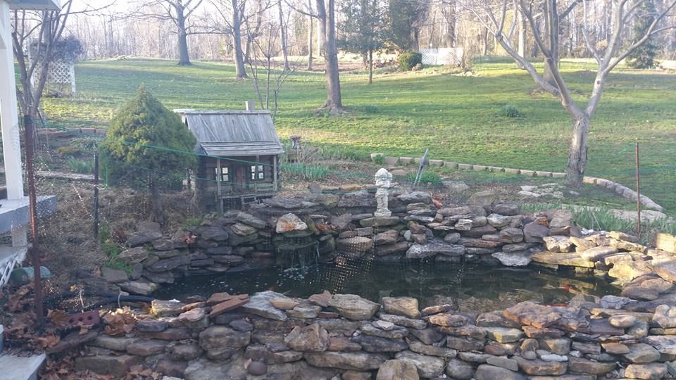 8955 Brushy Fork Road Tell City, IN 47586 - Photo 9 of 35 Gallery Image 9