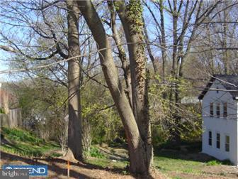 518 Prospect Road Springfield, PA 19064 - Photo 4 of 12 Exterior Side