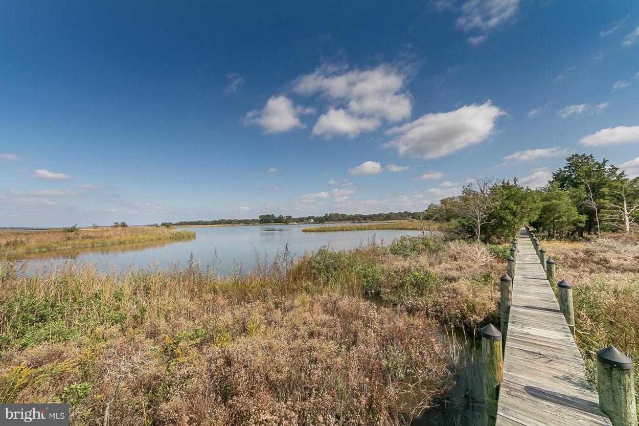 5547 Whitehall Road Cambridge, MD 21613 - Photo 56 of 63