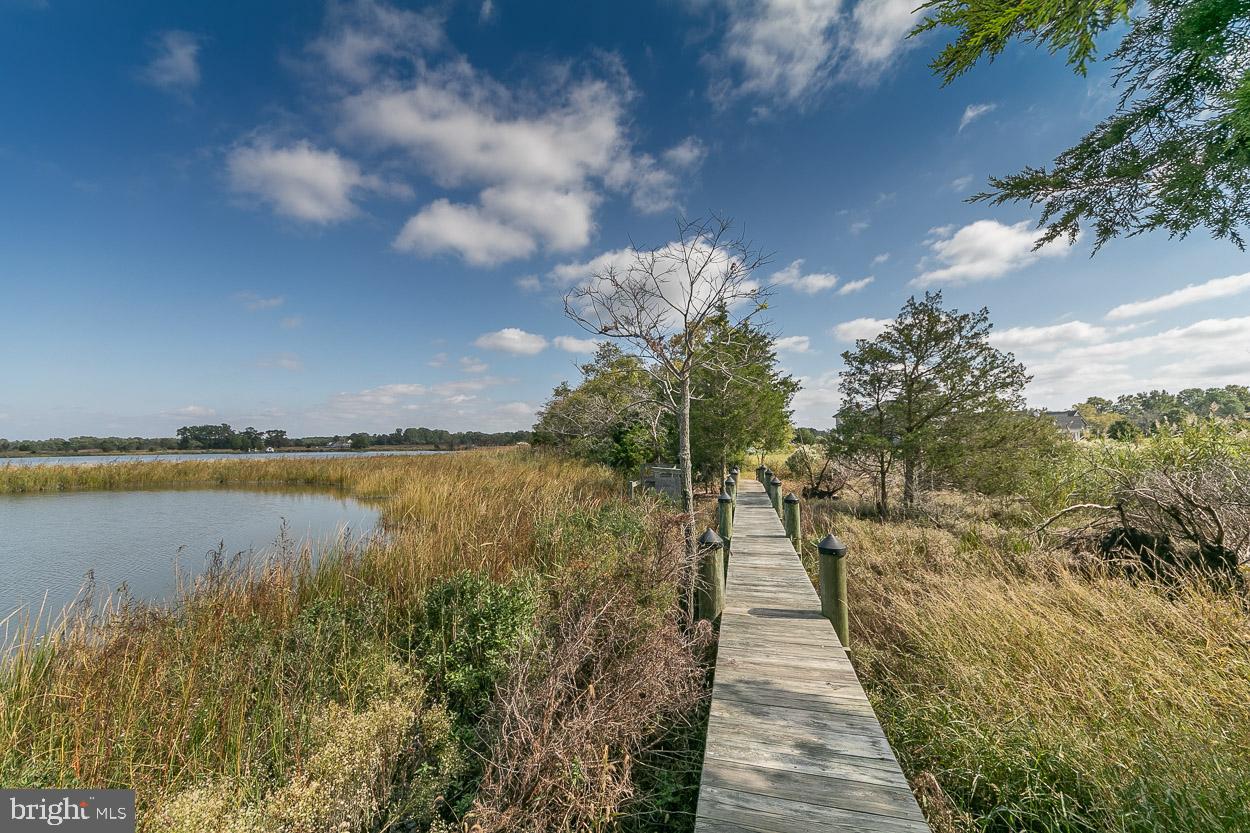 5547 Whitehall Road Cambridge, MD 21613 - Photo 57 of 63