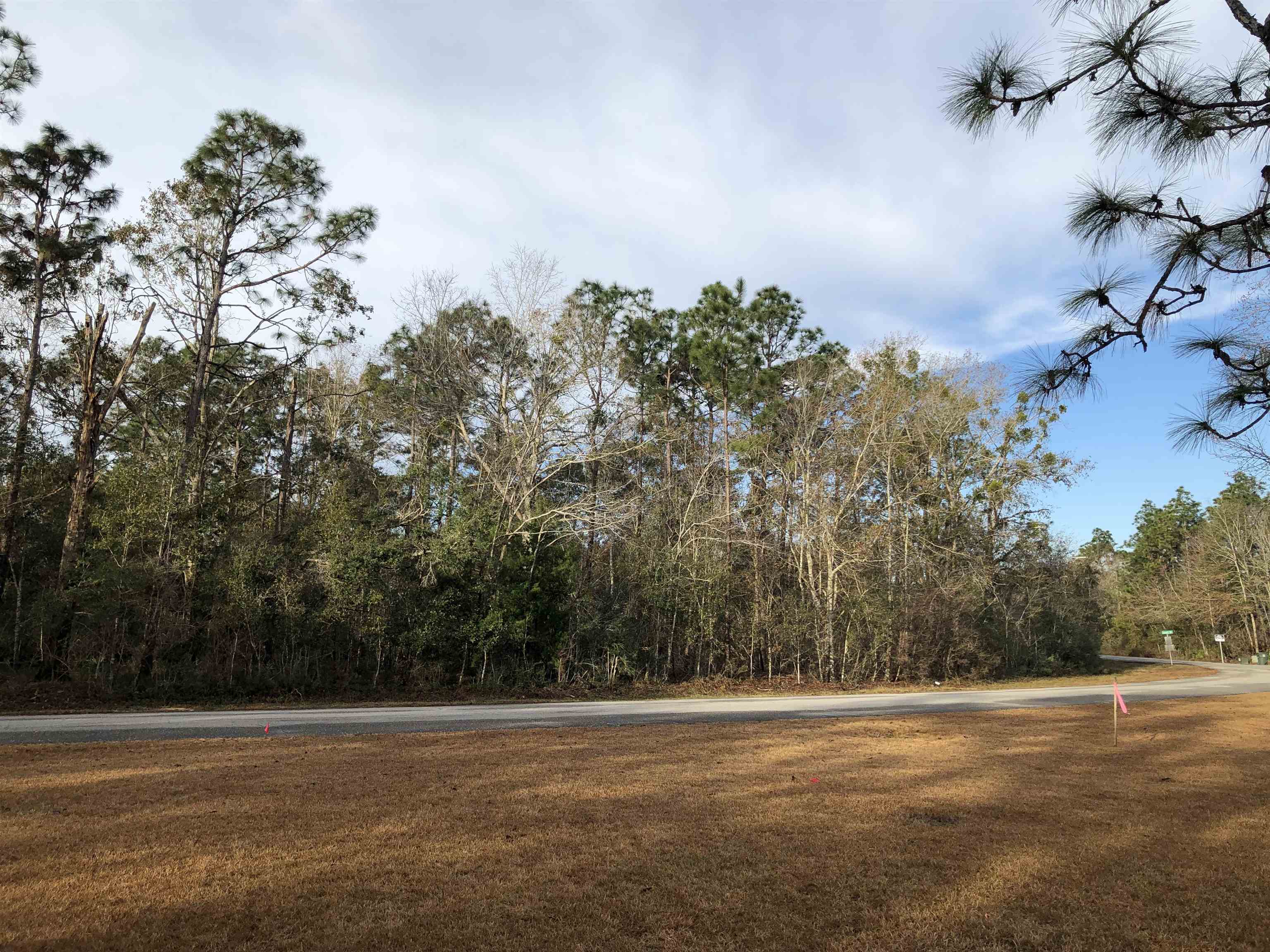 0 Forest Drive Foley, AL 36535 - Photo 1 of 5