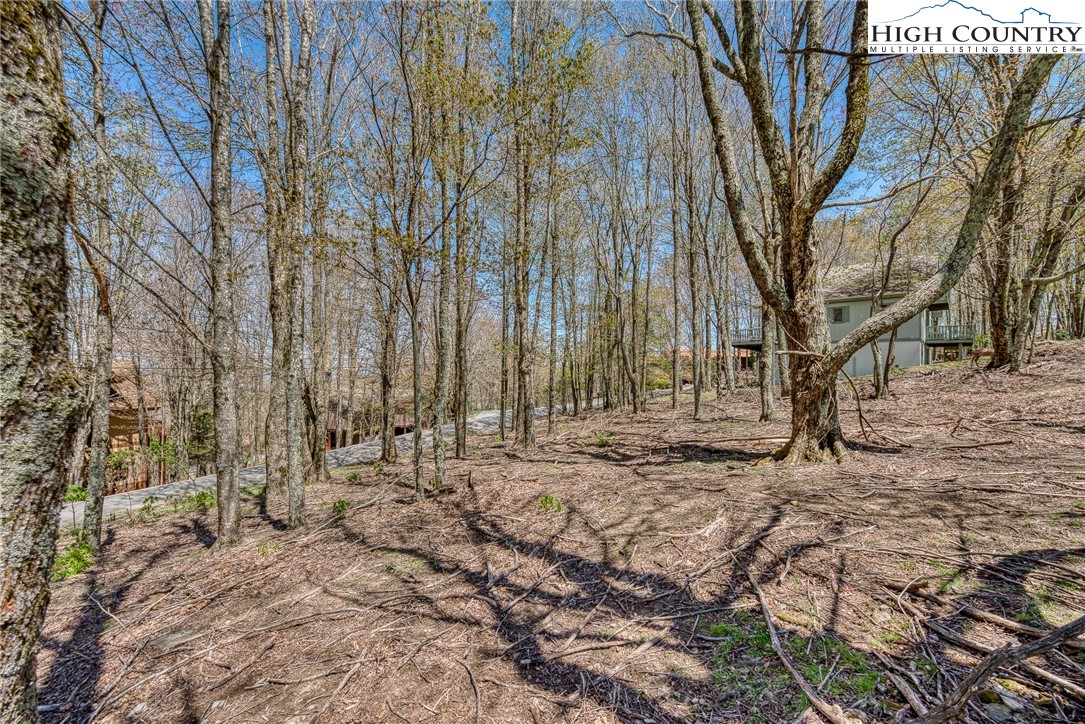 201 Grassy Gap Loop Road Beech Mountain, NC 28604 - Photo 7 of 16 a view of a yard with trees