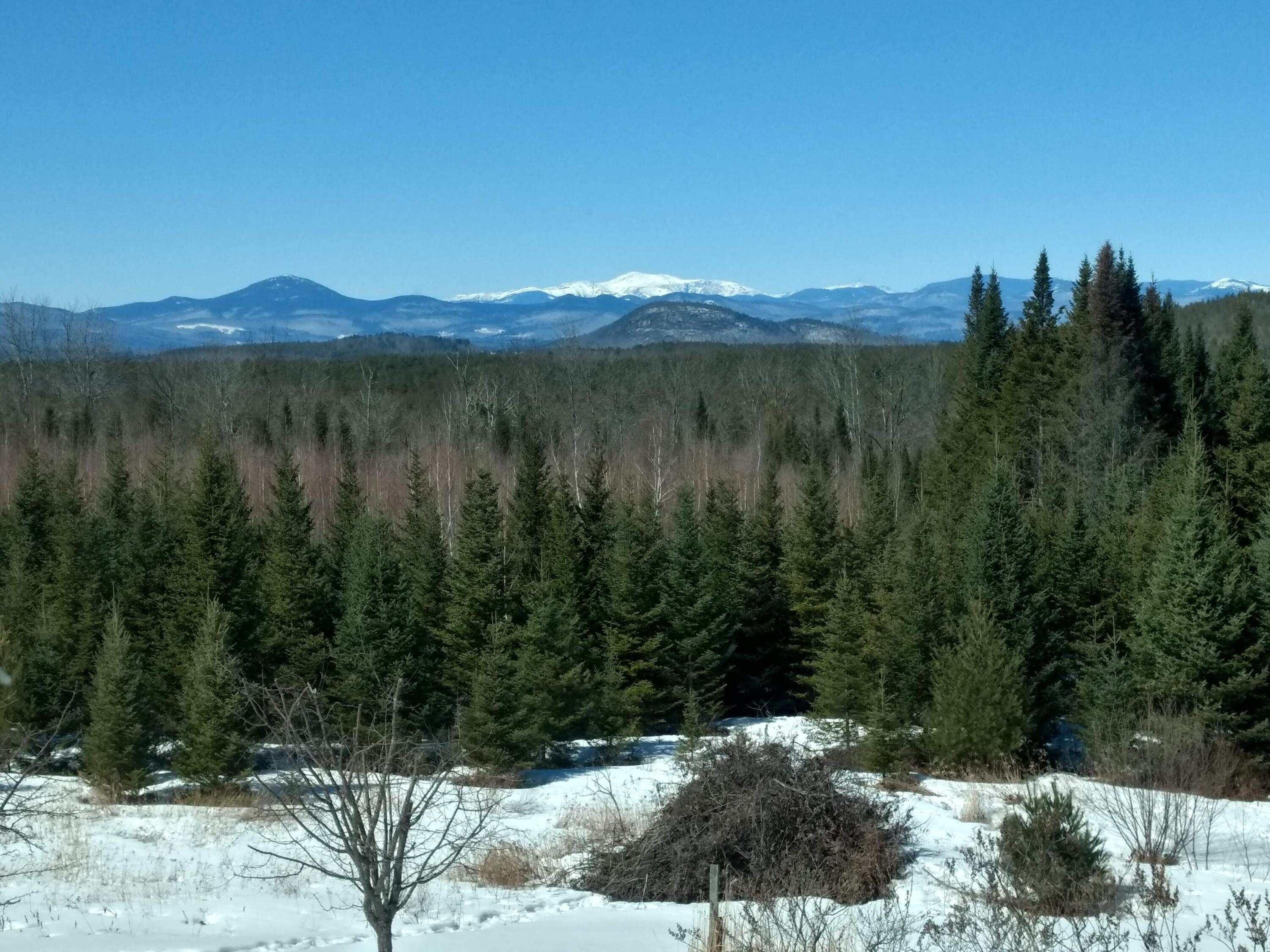 17 Davis Road Denmark, ME 04022 - Photo 62 of 63 Mount Washington