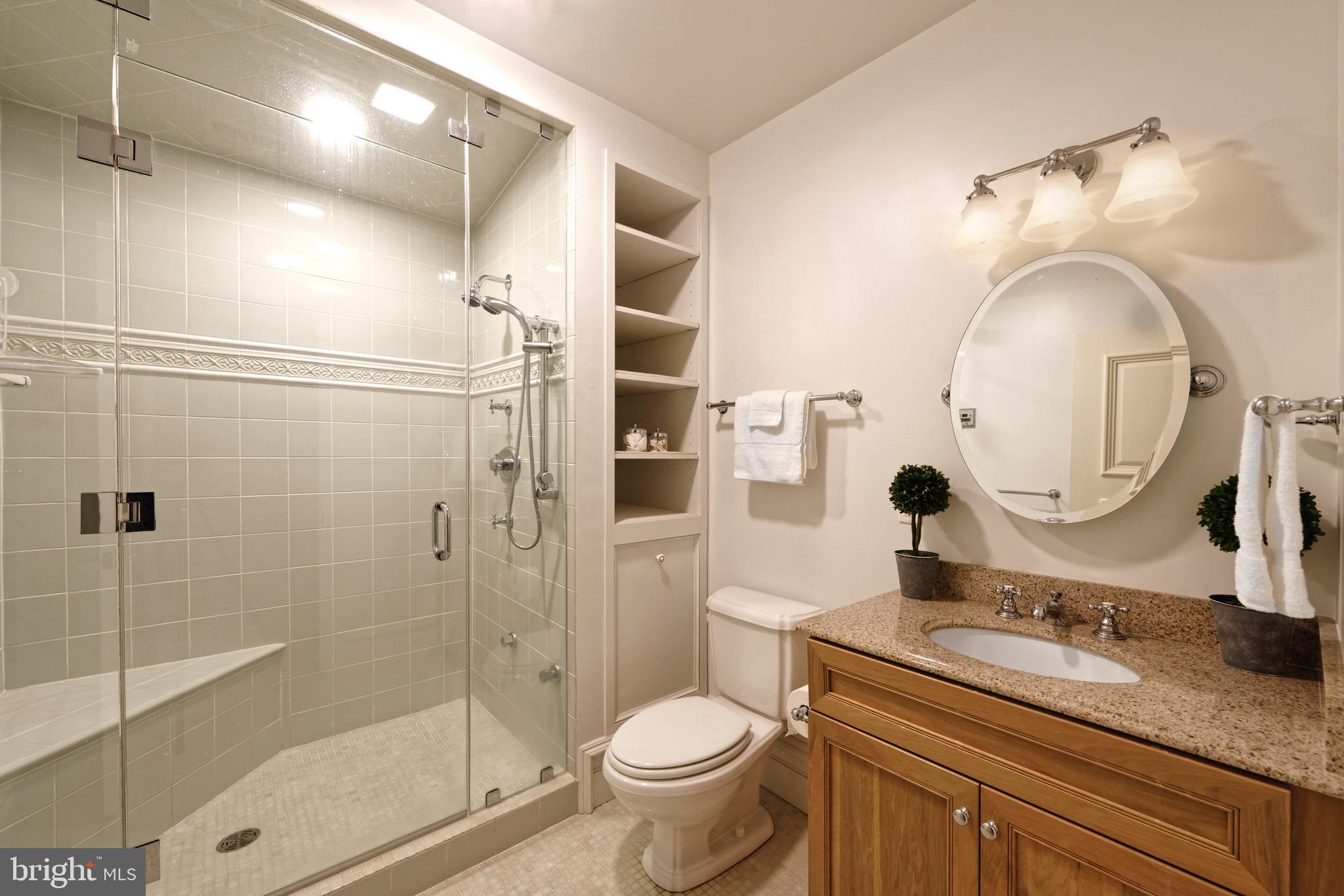 3456 Whiting Road Marshall, VA 20115 - Photo 32 of 69 Lower Level full bath with steam shower