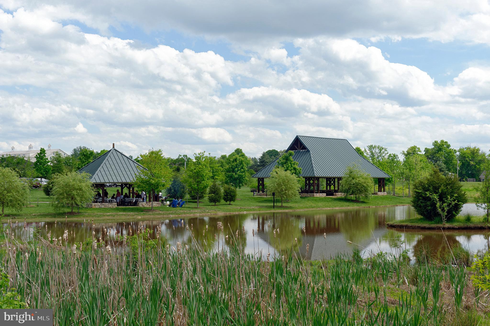 3456 Whiting Road Marshall, VA 20115 - Photo 50 of 69 The Marshall park has places to host parties...