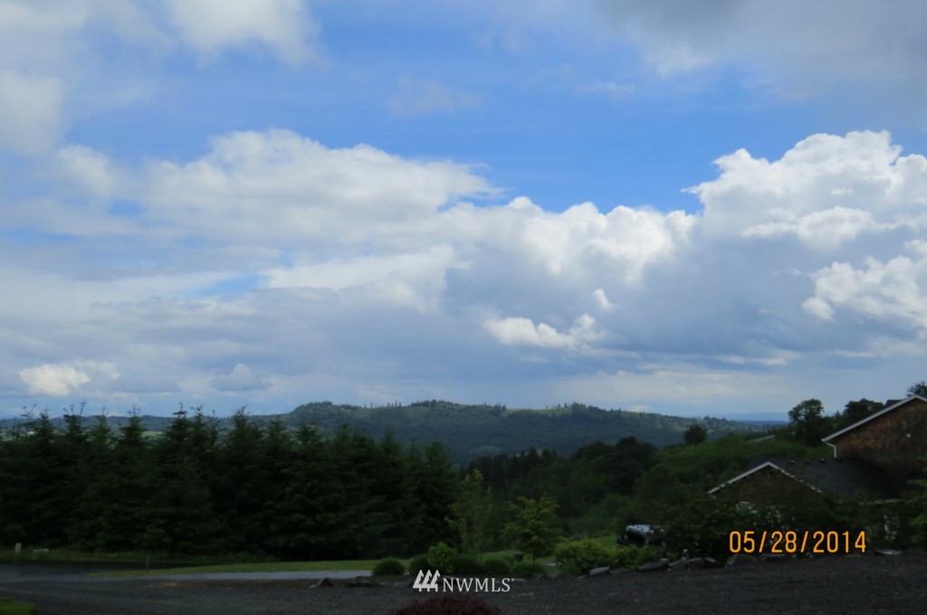 323 Desota Road Woodland, WA 98674 - Photo 6 of 25 Gallery Image 6