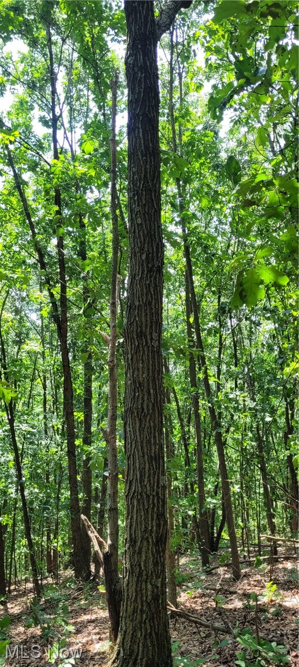 Southeast Edwards Ridge Road Southeast Uhrichsville, OH 44683 - Photo 26 of 34 Gallery Image 26