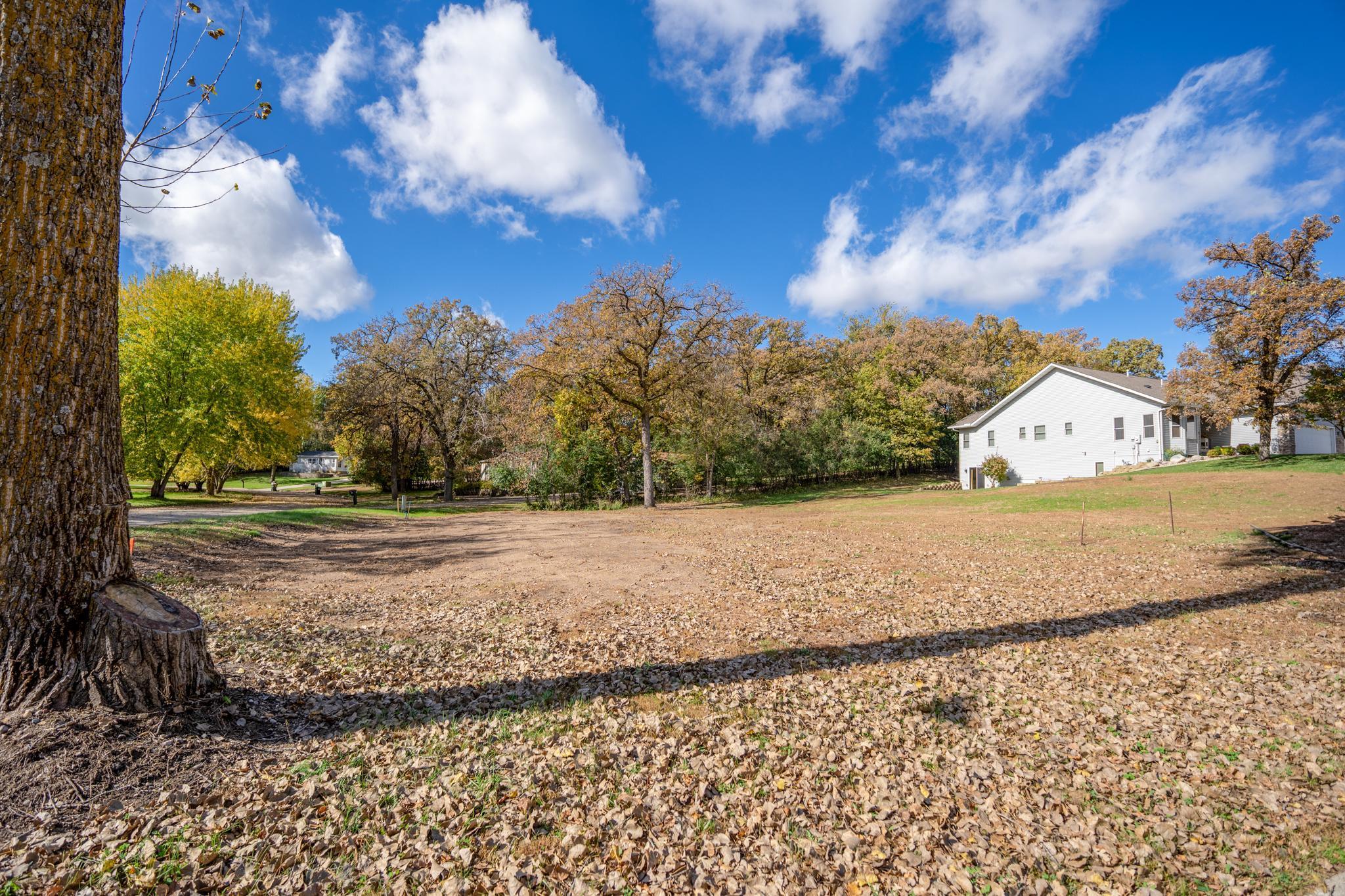 Tbd Pine Street Southwest New London, MN 56273 - Photo 5 of 6
