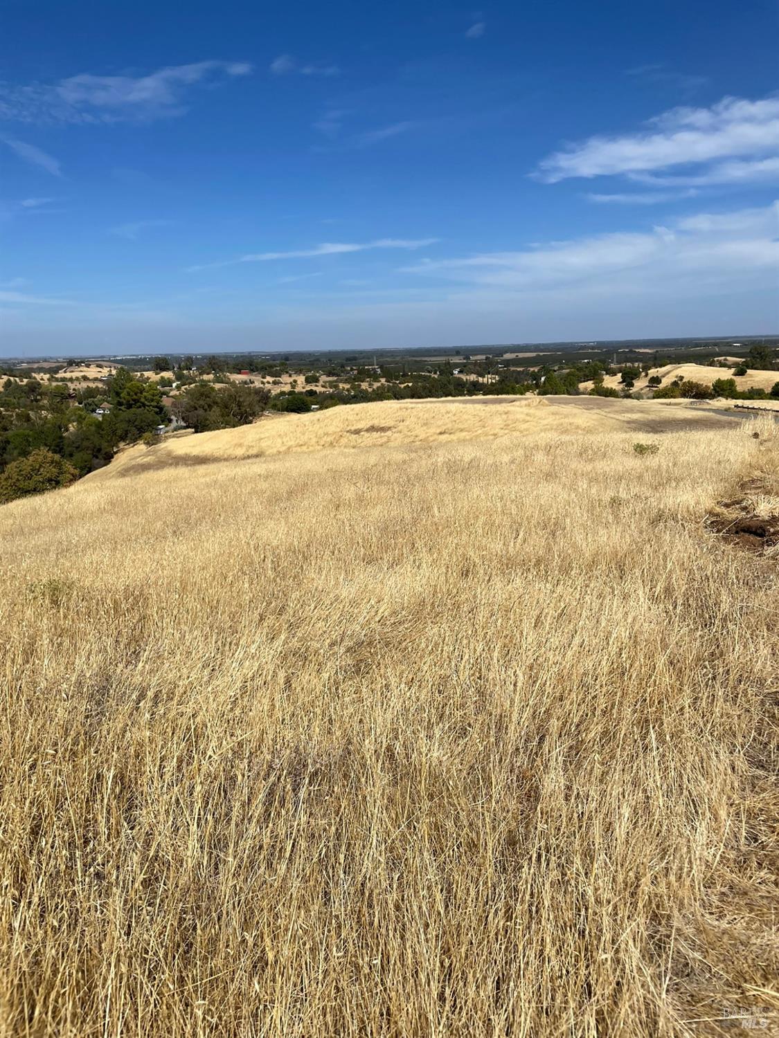 0 Central Lane Davis, CA 95616 - Photo 12 of 22 a view of an ocean