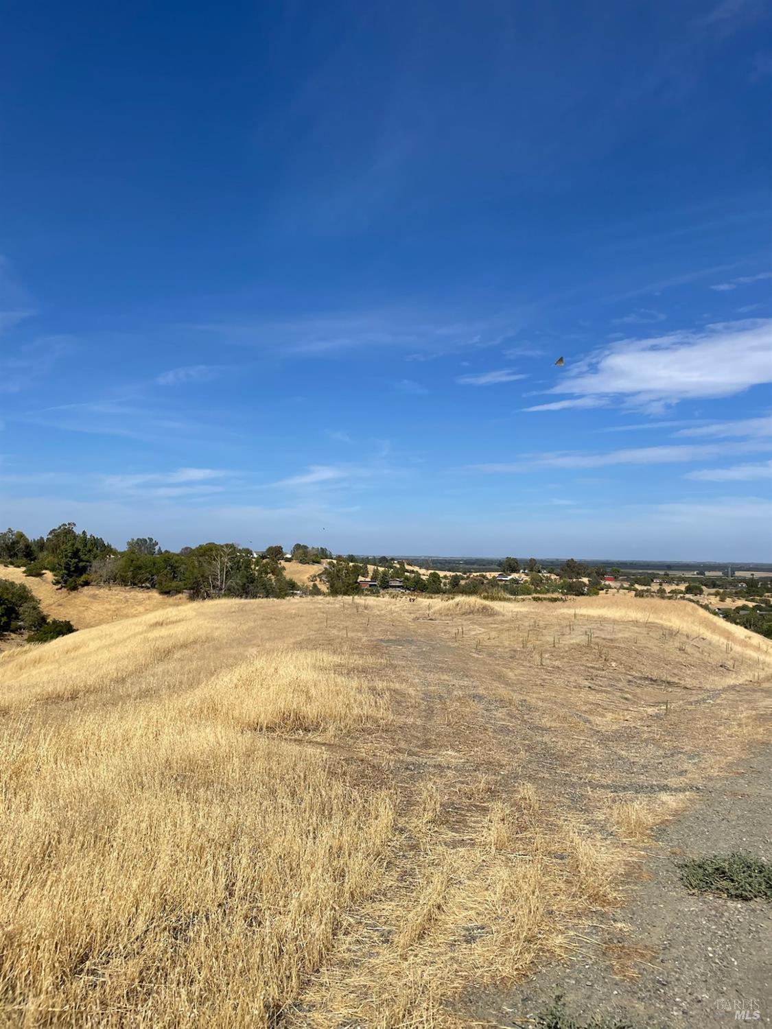 0 Central Lane Davis, CA 95616 - Photo 14 of 22 a view of an ocean