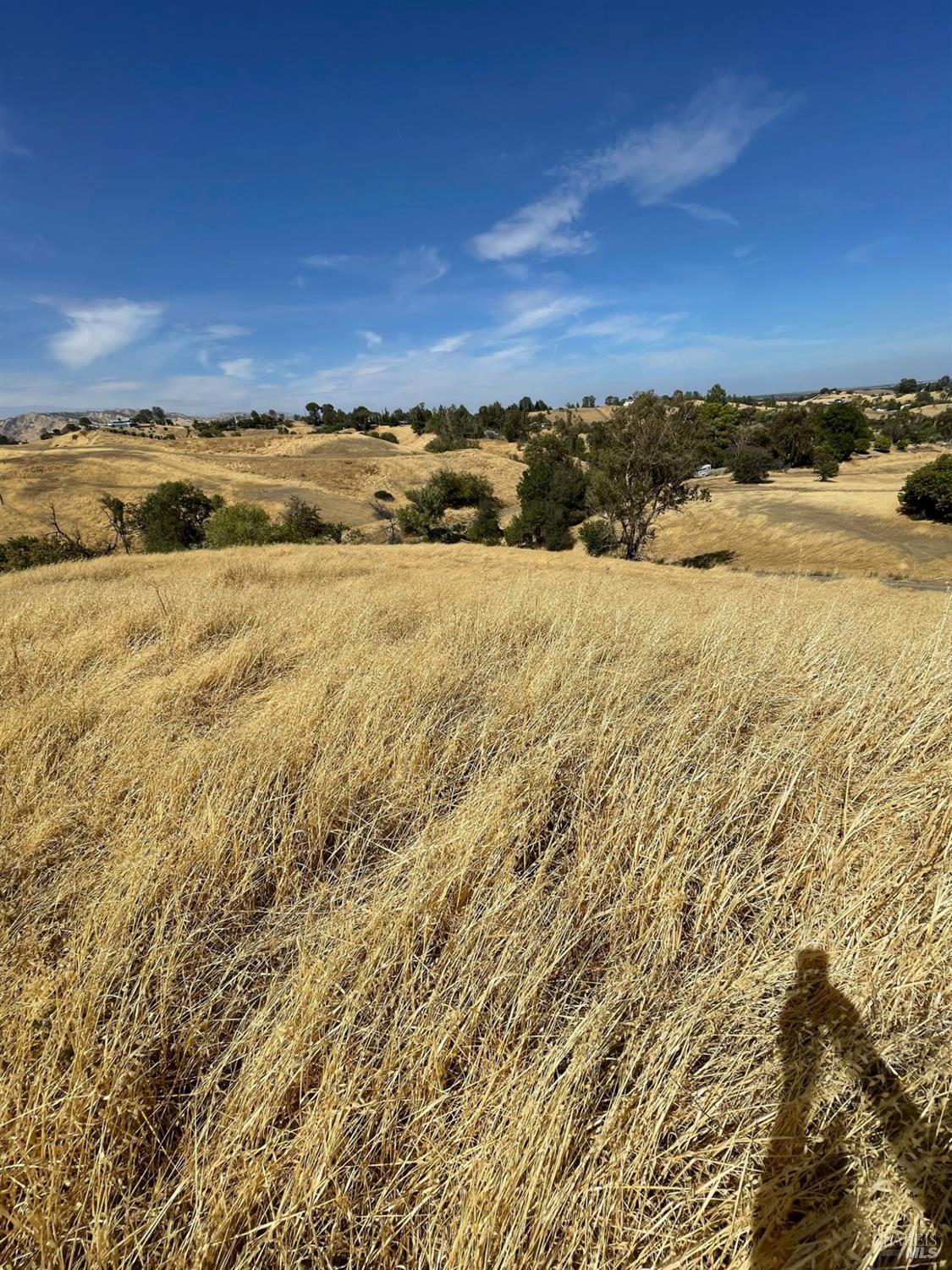0 Central Lane Davis, CA 95616 - Photo 17 of 22 a view of an ocean