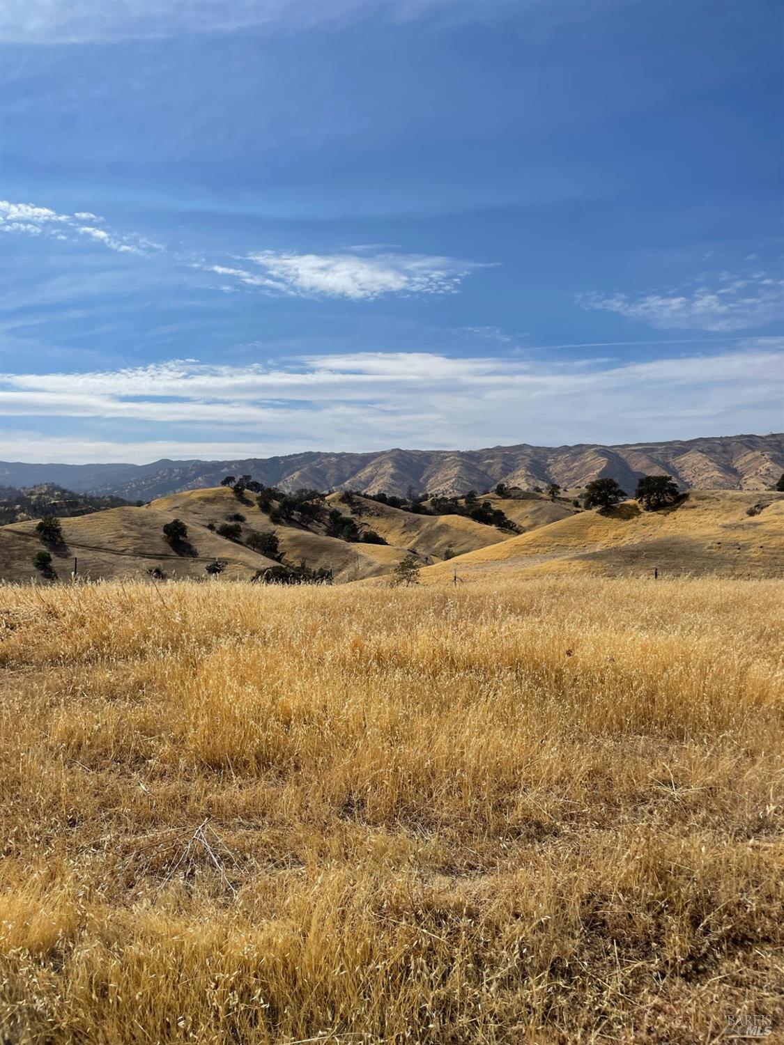 0 Central Lane Davis, CA 95616 - Photo 20 of 22