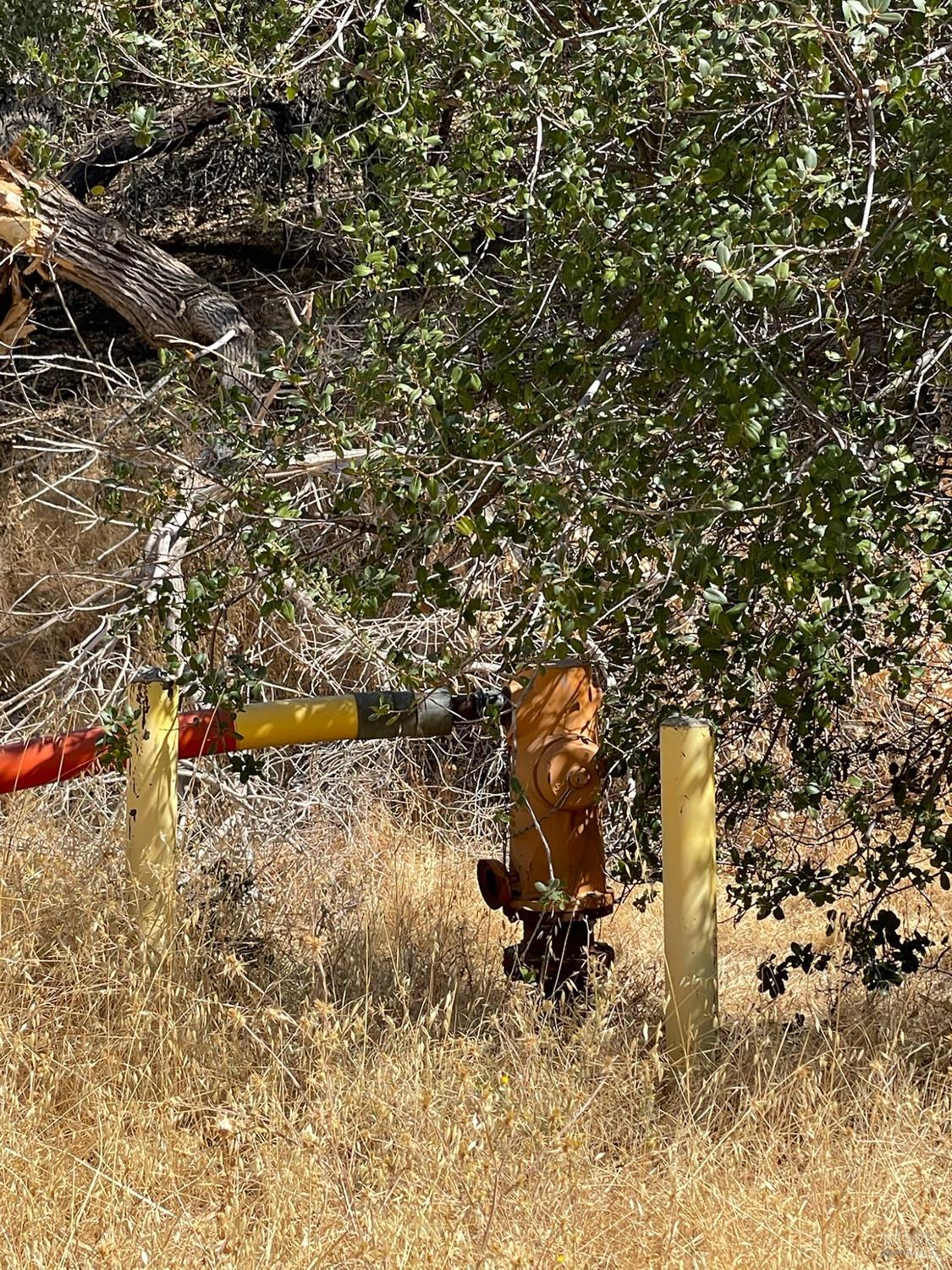 0 Central Lane Davis, CA 95616 - Photo 3 of 22 a view of a yard