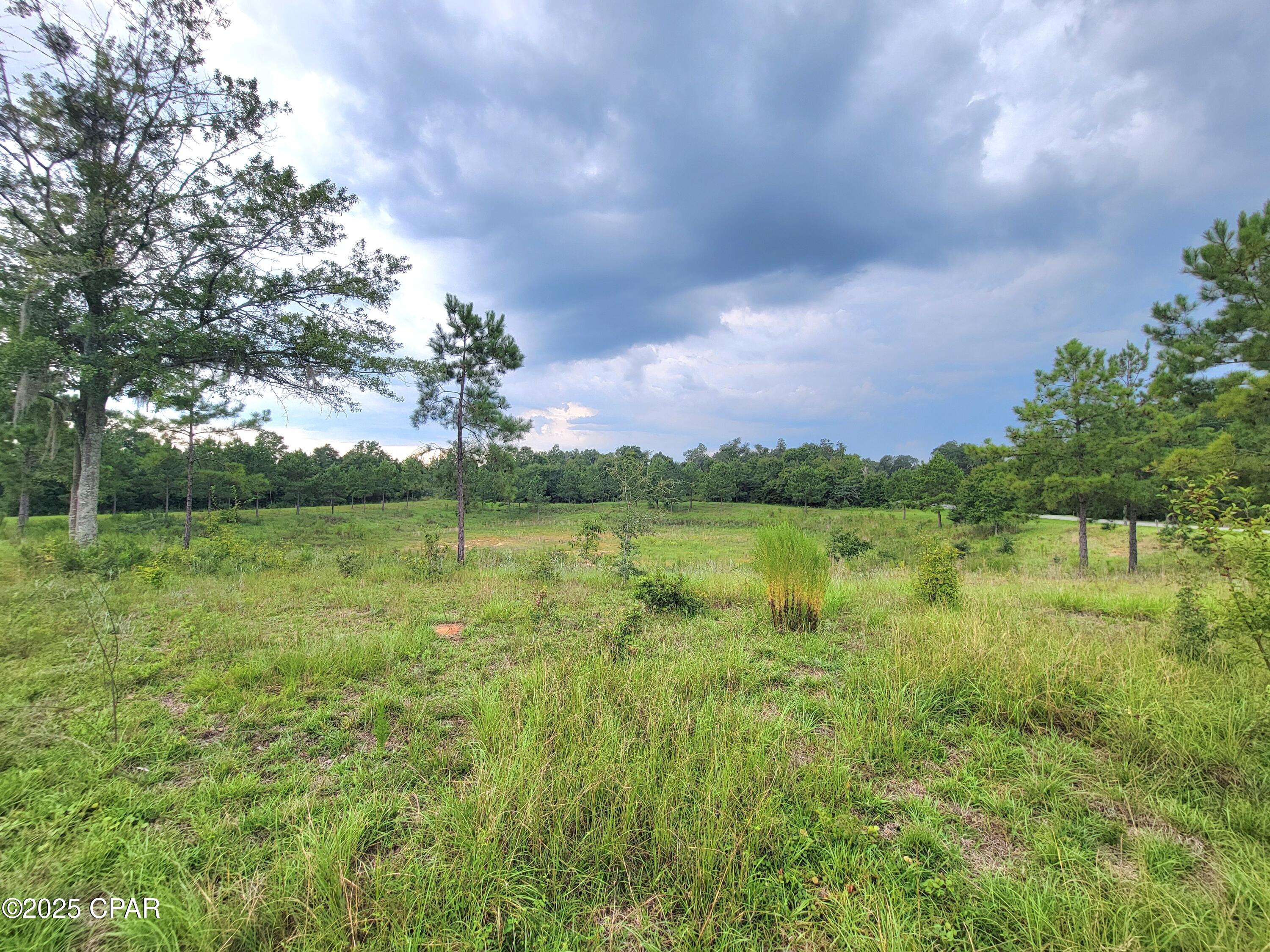 0 Lovedale Road Sneads, FL 32460 - Photo 2 of 5