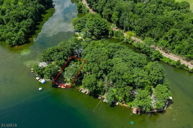 a view of a garden with a lake