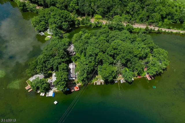 a view of a garden with a flower garden