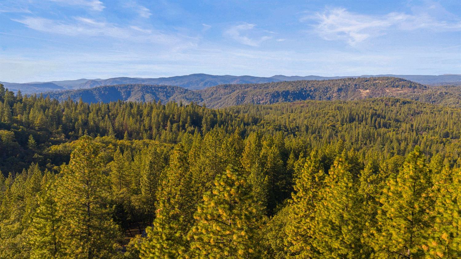 12777 Daisy Blue Mine Road Nevada City, CA 95959 - Photo 69 of 78