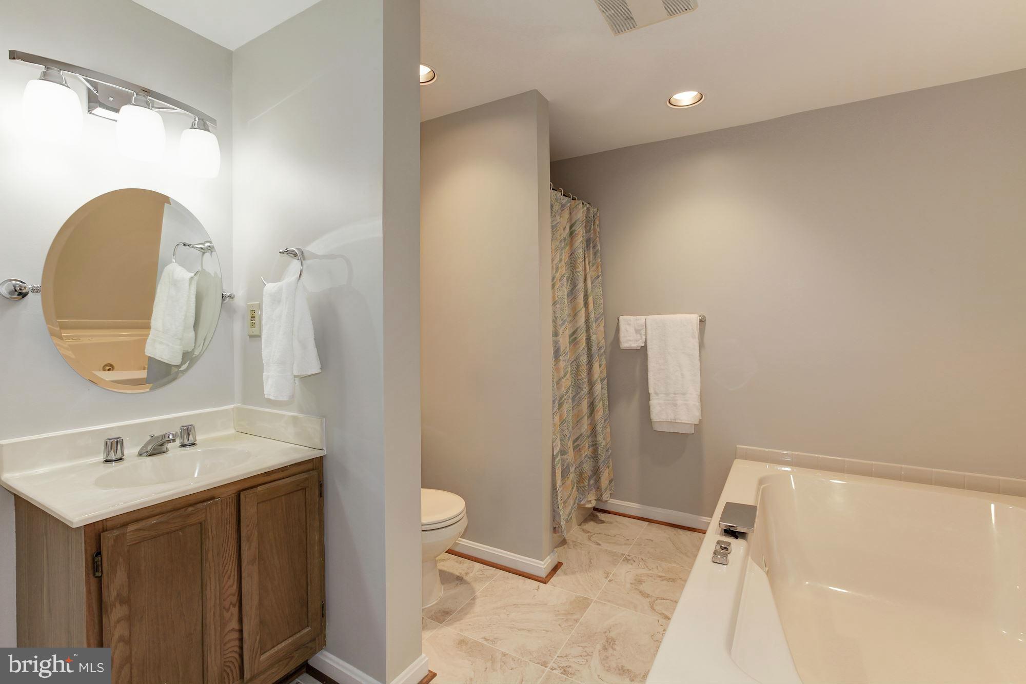 20905 Layton Ridge Drive Gaithersburg, MD 20882 - Photo 21 of 30 Bath