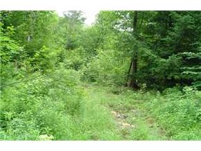 8-14 Forest Road Greenfield, NH 03047 - Photo 2 of 8