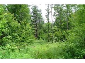 8-14 Forest Road Greenfield, NH 03047 - Photo 3 of 8