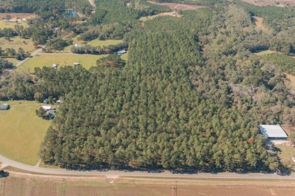 40.83-ac Bold Springs Road Ochlocknee, GA 31773 - Photo 3 of 14 Gallery Image 3