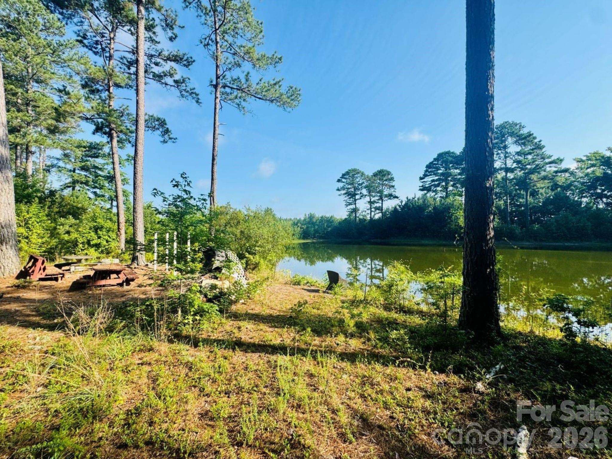 5326 Judson Road Clio, SC 29525 - Photo 4 of 29