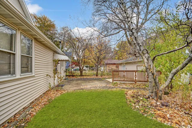 a view of a yard with a large tree