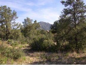 9820 Clear Fork Road Prescott, AZ 86305 - Photo 1 of 11 Primary Photo