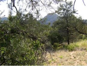 9820 Clear Fork Road Prescott, AZ 86305 - Photo 3 of 11 Additional Photo