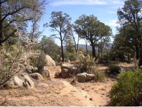 9820 Clear Fork Road Prescott, AZ 86305 - Photo 6 of 11 Additional Photo