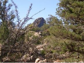 9820 Clear Fork Road Prescott, AZ 86305 - Photo 7 of 11 Additional Photo