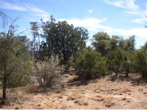 9820 Clear Fork Road Prescott, AZ 86305 - Photo 8 of 11 Additional Photo