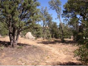 9820 Clear Fork Road Prescott, AZ 86305 - Photo 9 of 11 Additional Photo