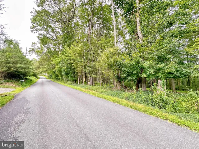 a view of a yard with potted plants and large trees
