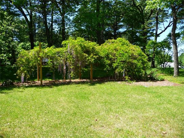 408 Florence Road Northampton, MA 01062 - Photo 3 of 30 a backyard of a house with lots of green space and fountain
