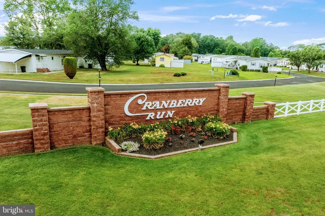 a view of a park along with trees