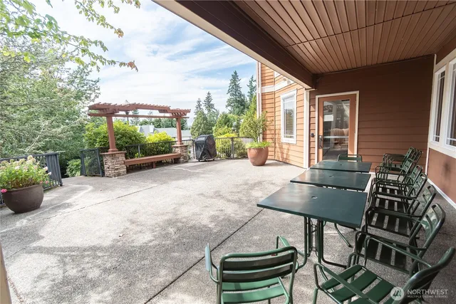 a view of a patio with table and chairs barbeque potted plants and large tree