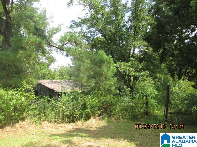 9985 Bill Jones Road Kimberly, AL 35091 - Photo 14 of 15