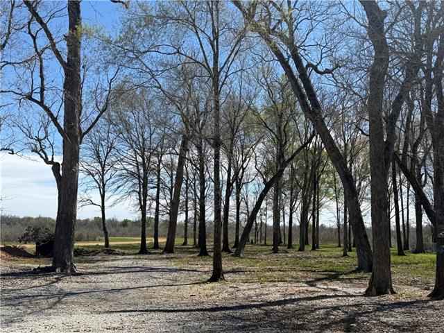 900 Pin Oak Road, Unit 36 Jonesville, LA 71343 - Photo 54 of 60