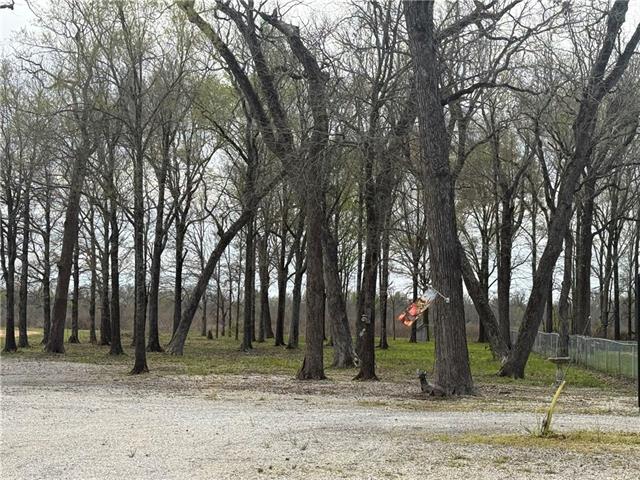 900 Pin Oak Road, Unit 36 Jonesville, LA 71343 - Photo 8 of 60