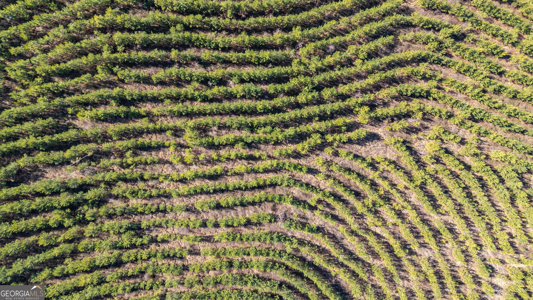 0 Warren Road White Plains, GA 30678 - Photo 15 of 37 a view of a large mirror