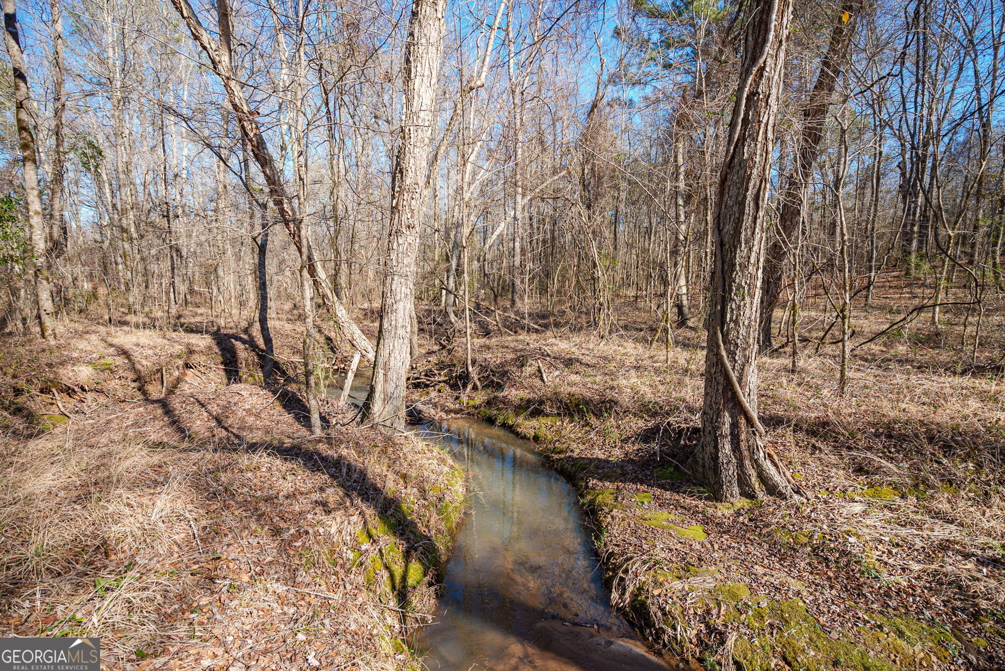 0 Warren Road White Plains, GA 30678 - Photo 18 of 37 a view of a yard with wooden fence