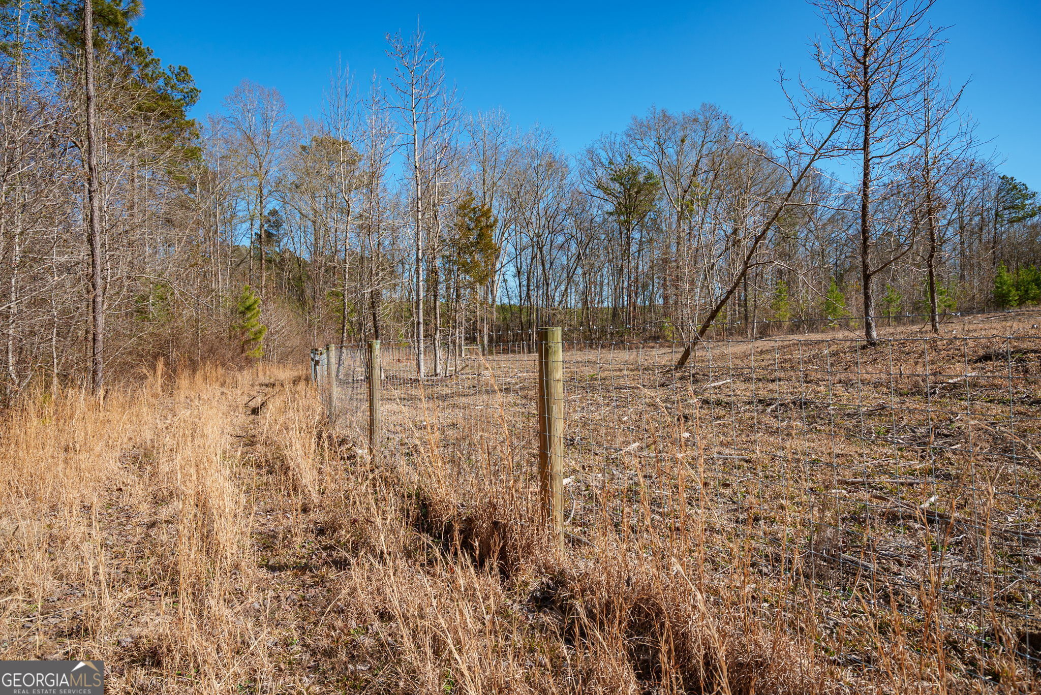 0 Warren Road White Plains, GA 30678 - Photo 19 of 37 a view of a yard with trees in the background