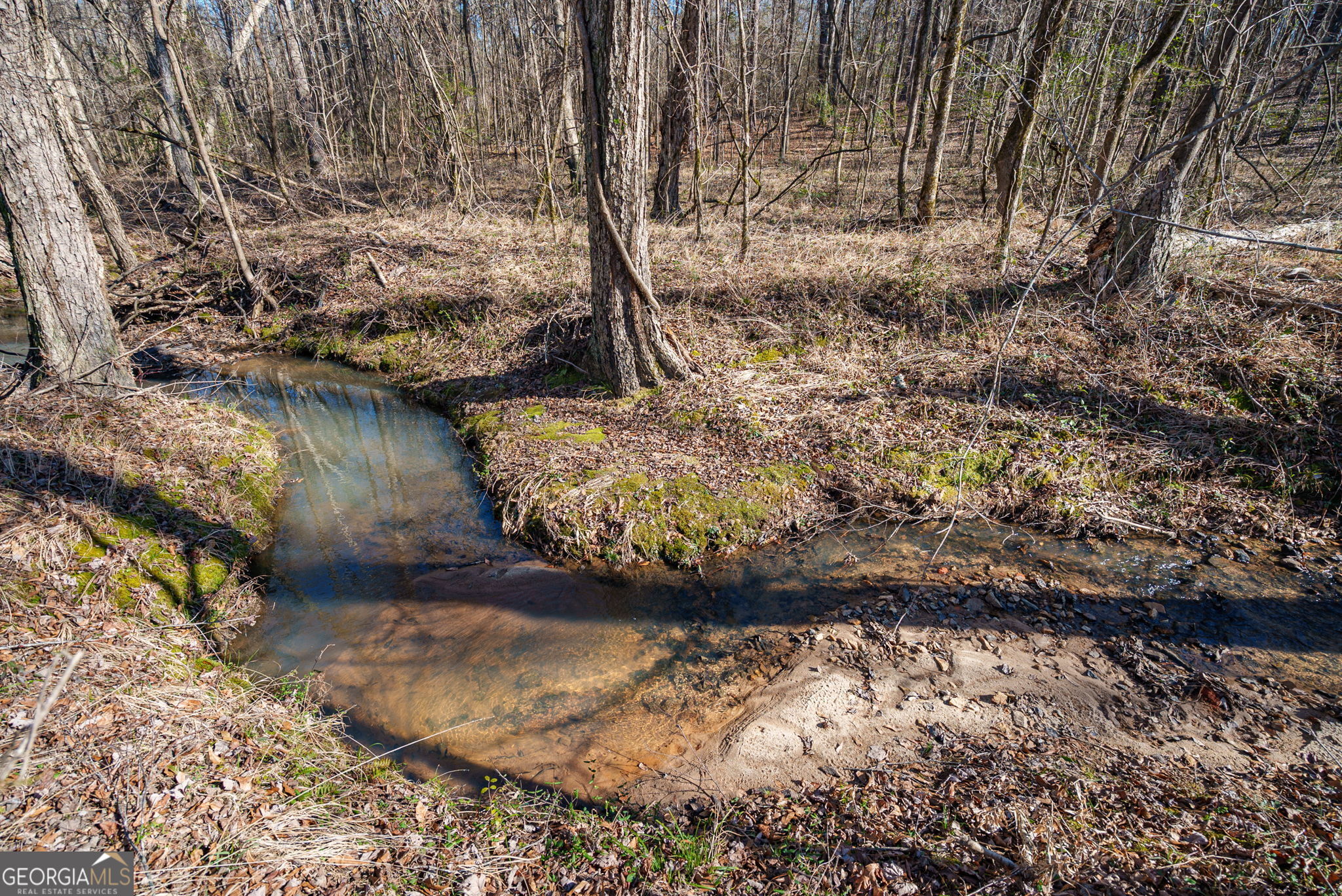 0 Warren Road White Plains, GA 30678 - Photo 20 of 37 a view of a yard