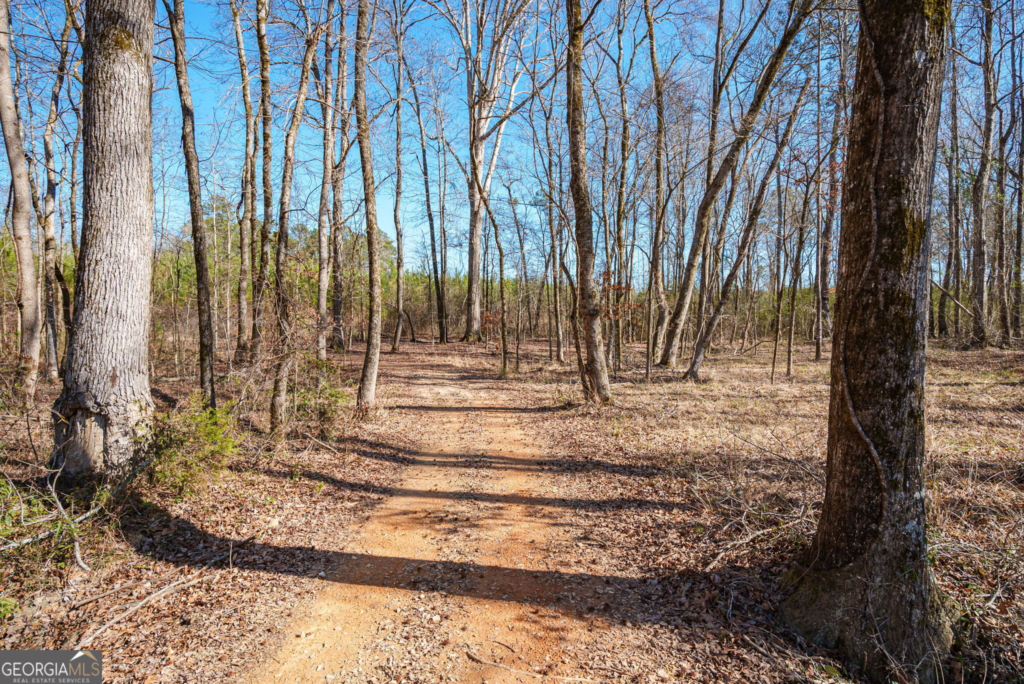 0 Warren Road White Plains, GA 30678 - Photo 2 of 37 a view of backyard with wooden fence and large trees
