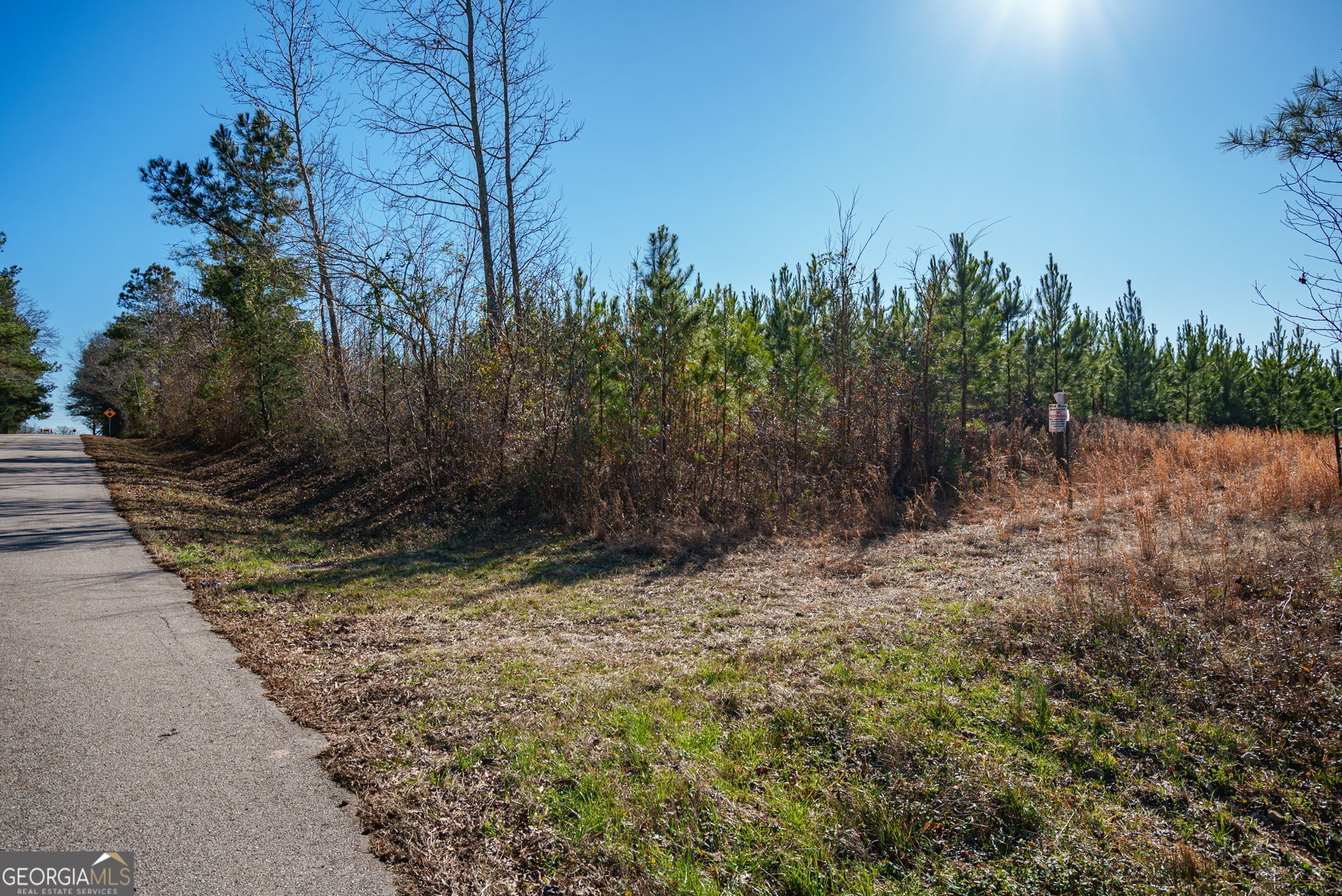 0 Warren Road White Plains, GA 30678 - Photo 21 of 37 a view of a yard with trees in the background