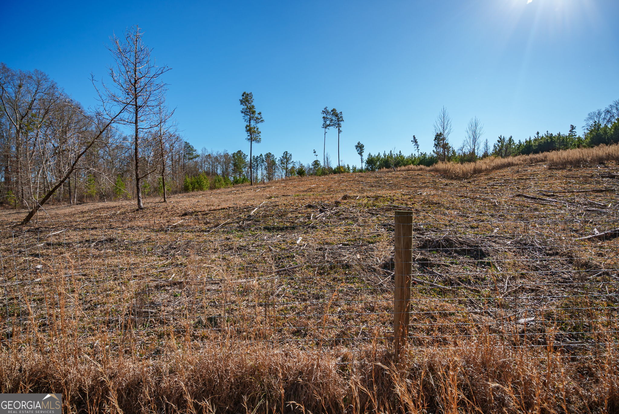 0 Warren Road White Plains, GA 30678 - Photo 23 of 37 a view of a dry yard with trees