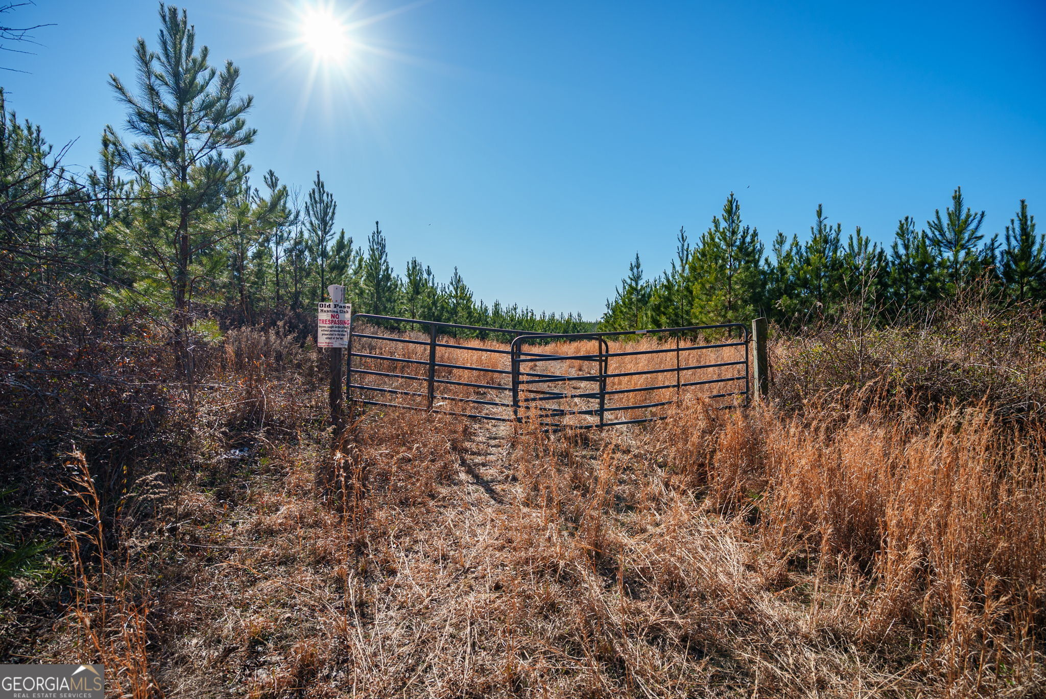 0 Warren Road White Plains, GA 30678 - Photo 25 of 37 a view of outdoor space and garden